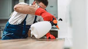 Best Pest Control for Multi-Family Homes  in Indian River Estates, FL